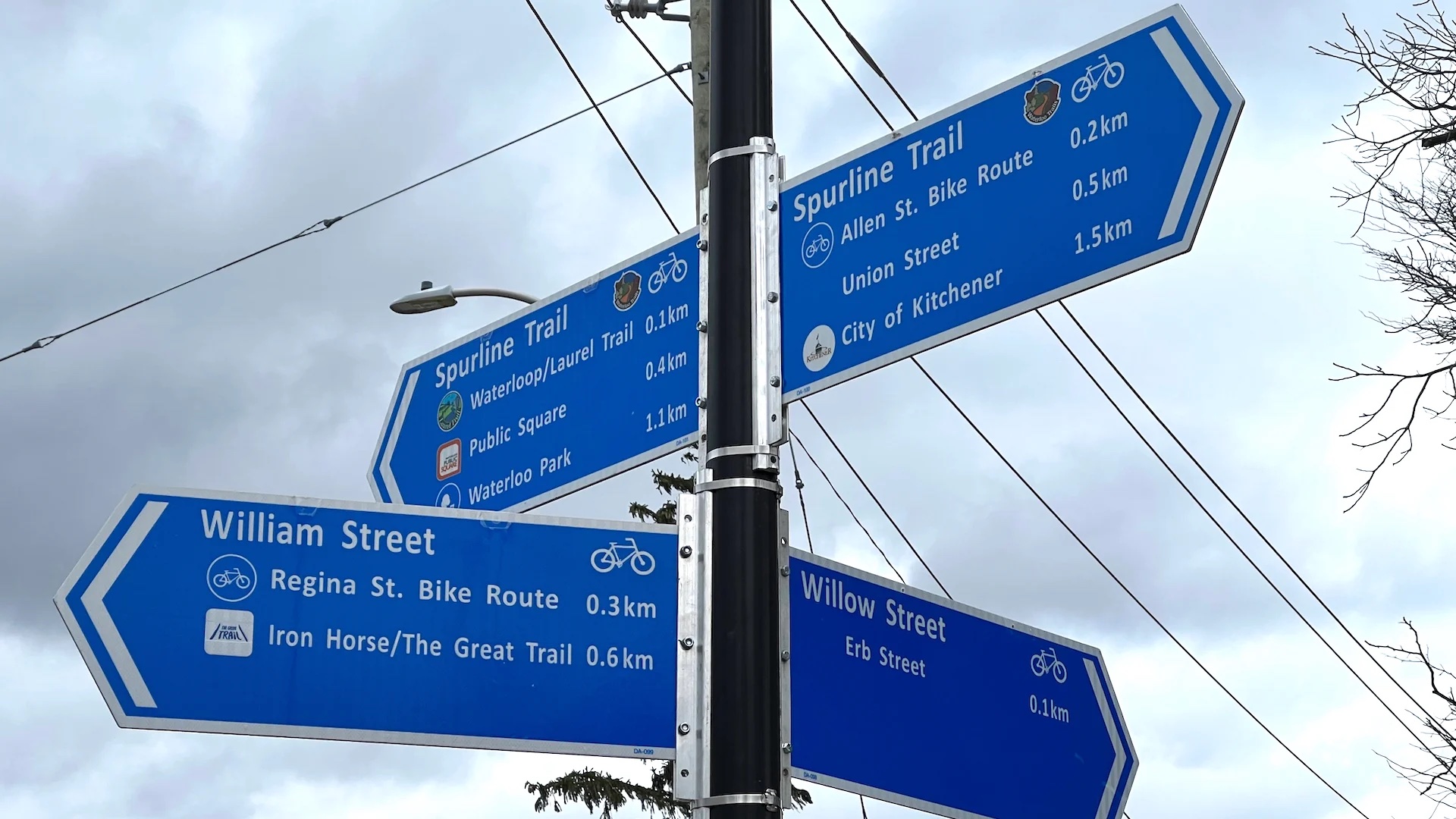 Blue directional signs point in four directions, mentioning "Spurline Trail", "William Street", Willow Street", and "Waterloo Park" among other things.